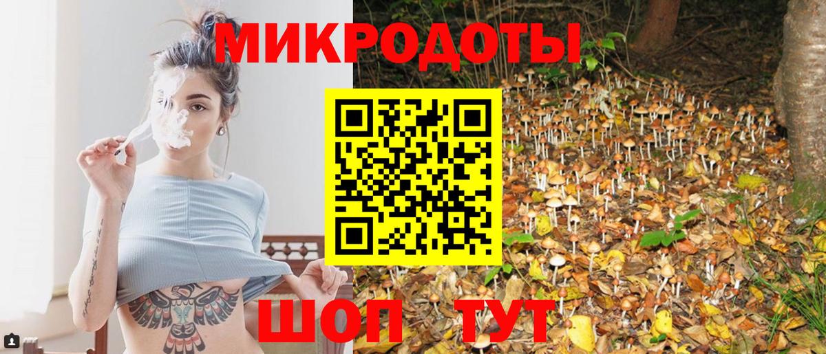 Галлюциногенные грибы мухоморы Нижний Тагил