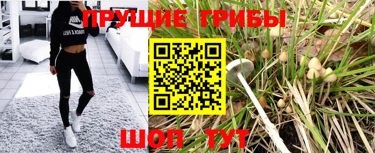 Псилоцибиновые грибы мухоморы  Вход с VPN  где продают   Нижний Тагил 